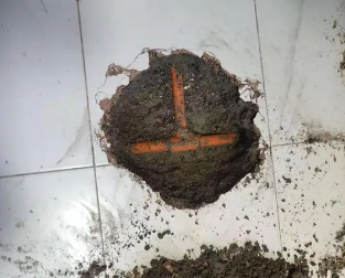 桑植查漏水多少钱