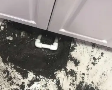 桑植查漏水哪家好